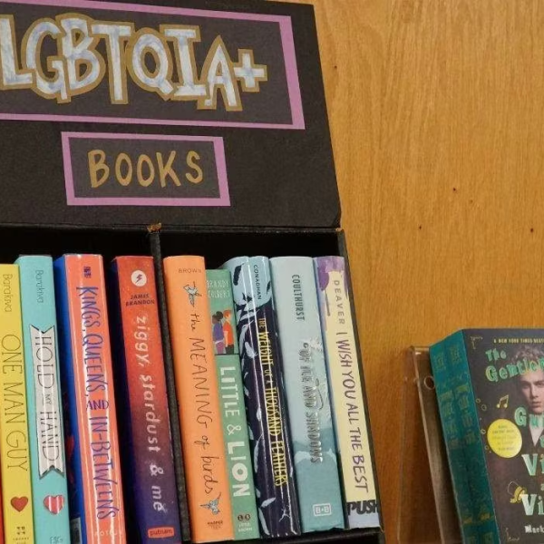 North Carolina county dissolves library board for refusing to toss book about a trans&nbsp;kid