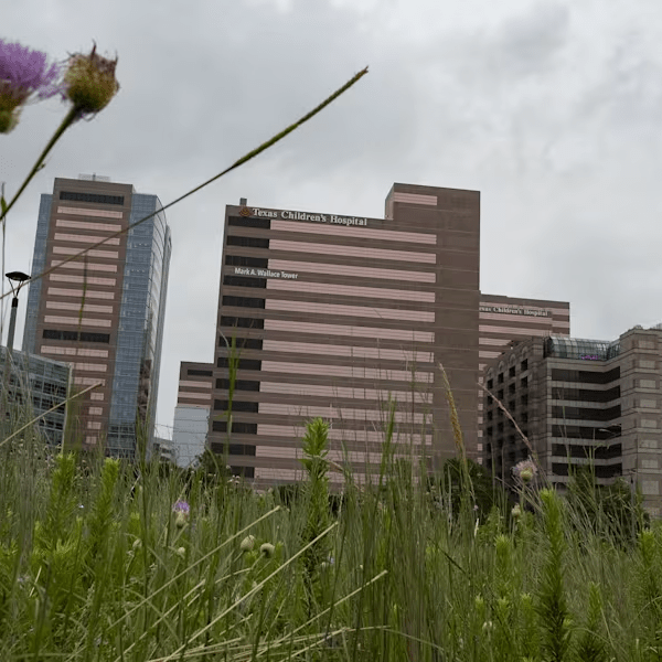 Texas Children’s Hospital must create country’s first “detransition clinic” under legal settlement with&nbsp;state